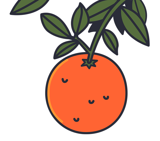 Illustration of an orange hanging from a leafy branch